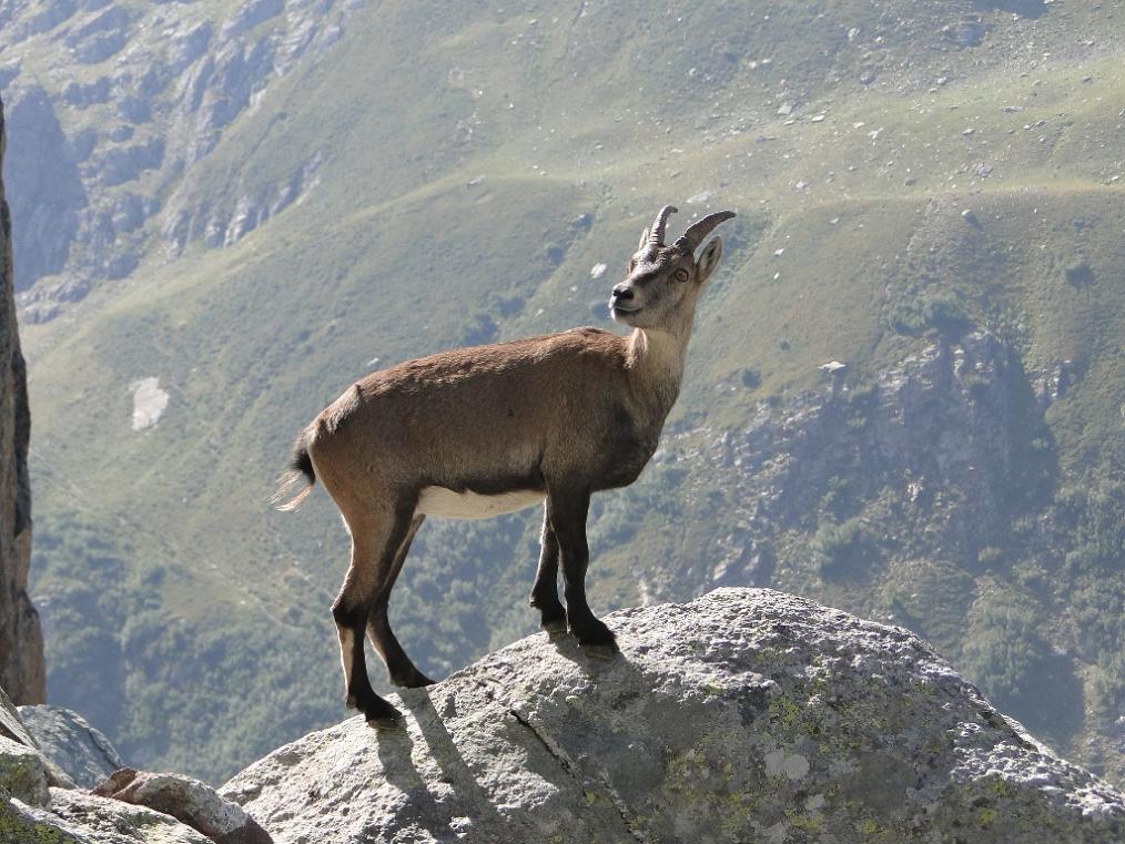 Itinerari per pochi (o quasi): Pizzo del Becco